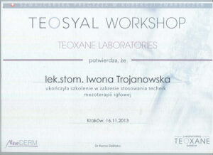 Teosyal workshop